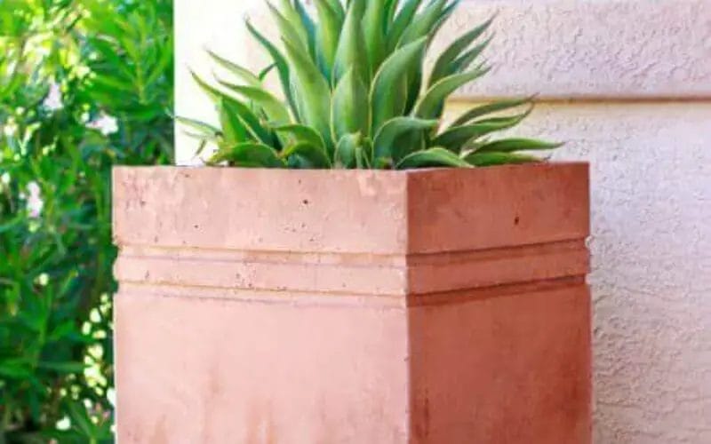 25 Ideas for Garden Pots and Containers