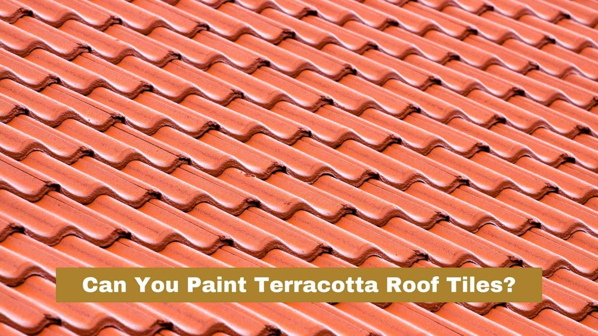 Can You Paint Terracotta Roof Tiles?