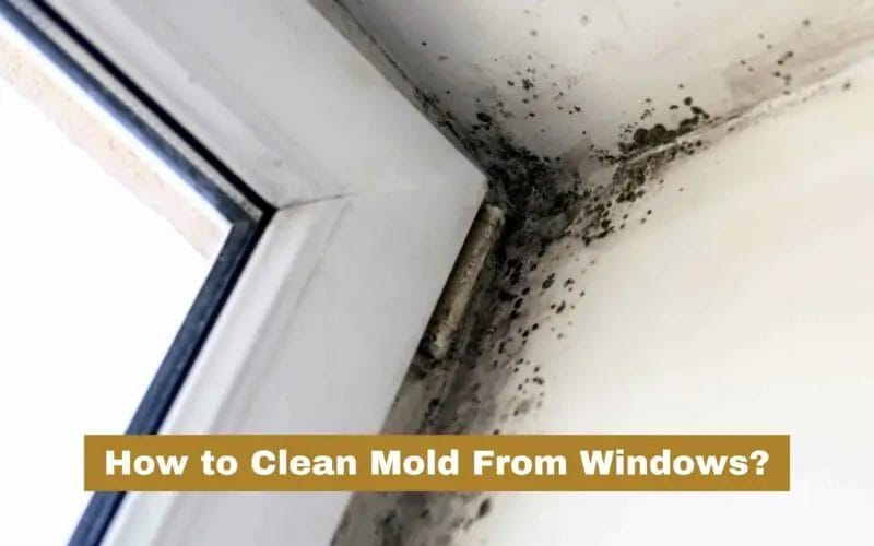 How to Clean Mold From Windows Sill? (Common Causes)