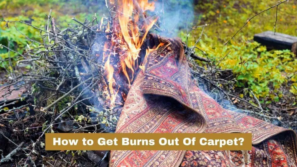 How To Get Burns Out Of Carpet? (8 Easy Steps)