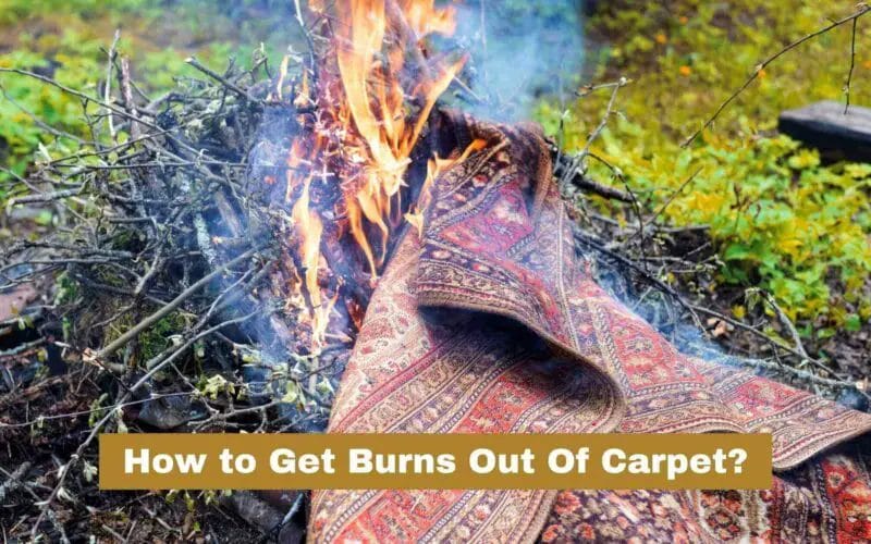 How to Get Burns Out Of Carpet? (8 Easy Steps)