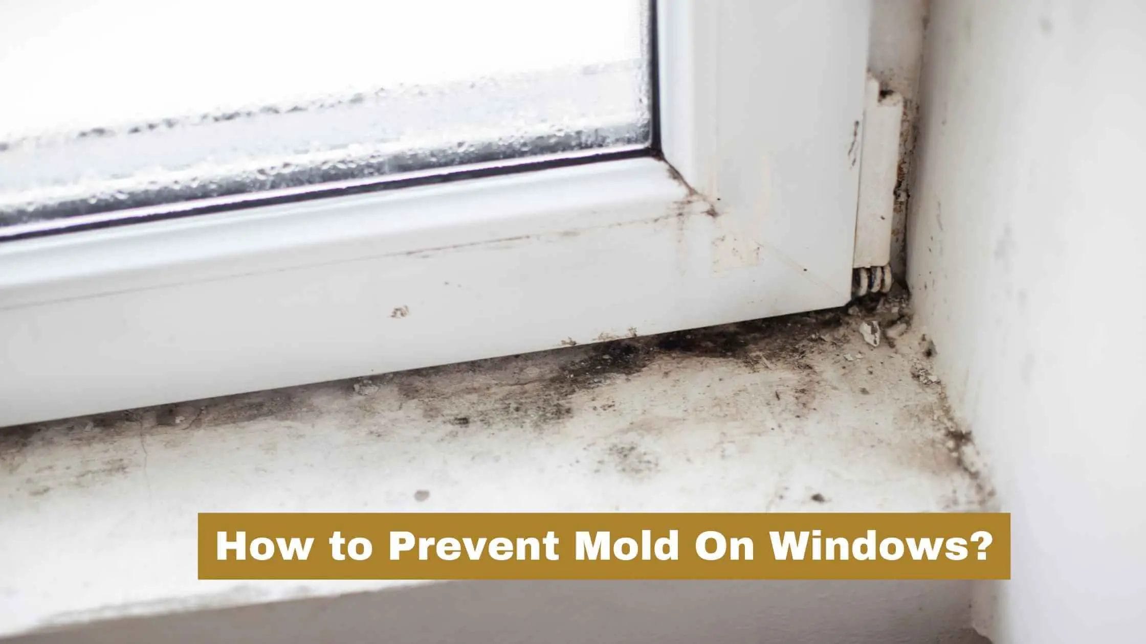 how to prevent mold on windows