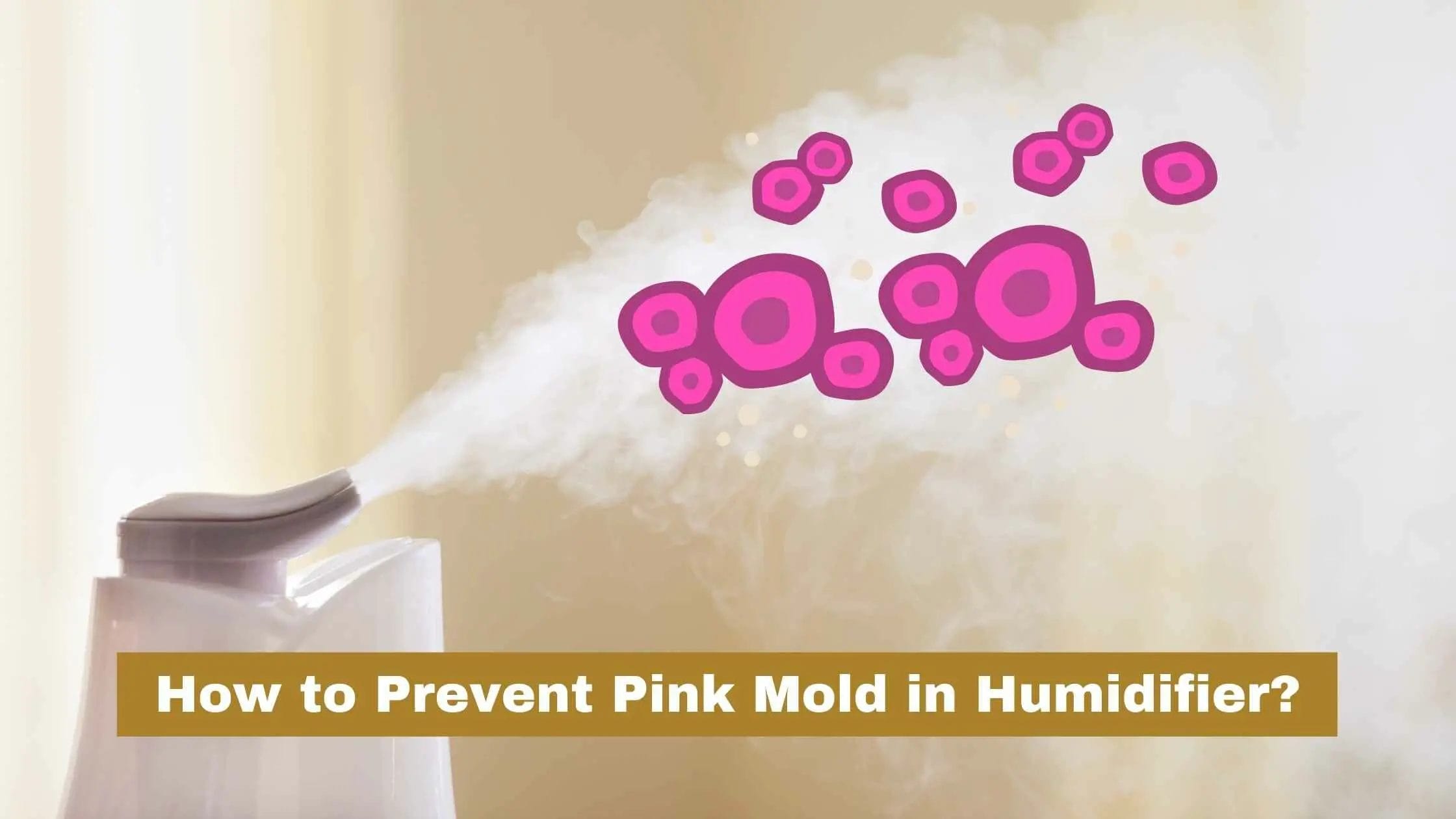 how to prevent pink mold in humidifier