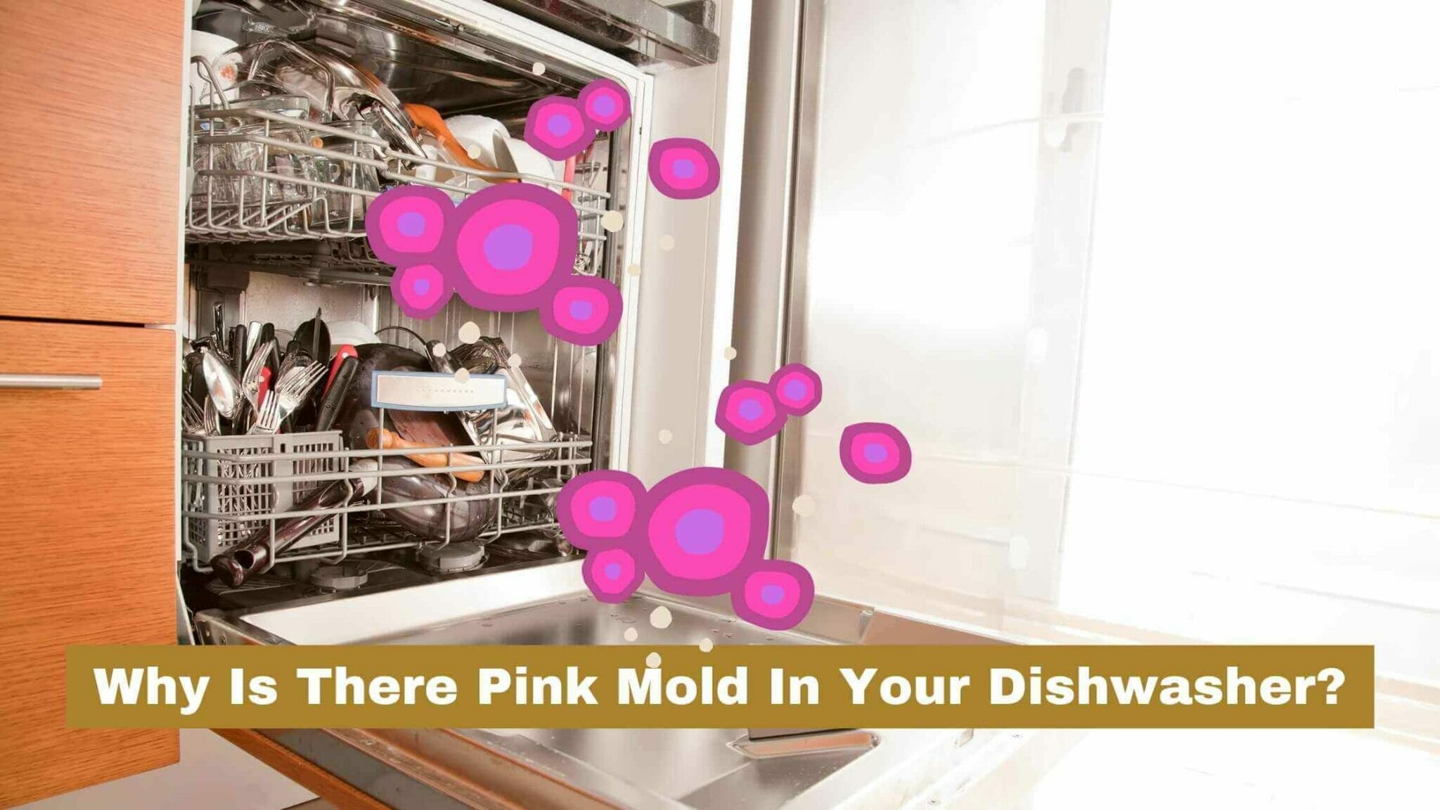 Pink Mold In Dishwasher Why It Appers And How To Clean