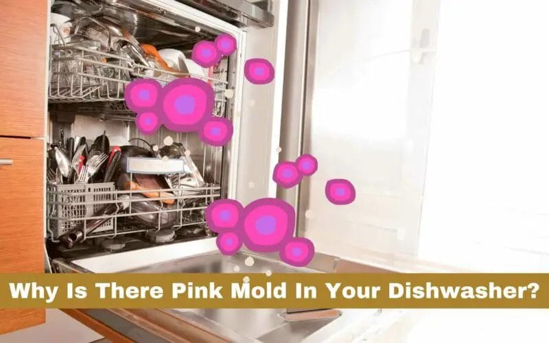 Pink mold in Dishwasher – Why It Appers And How To Clean