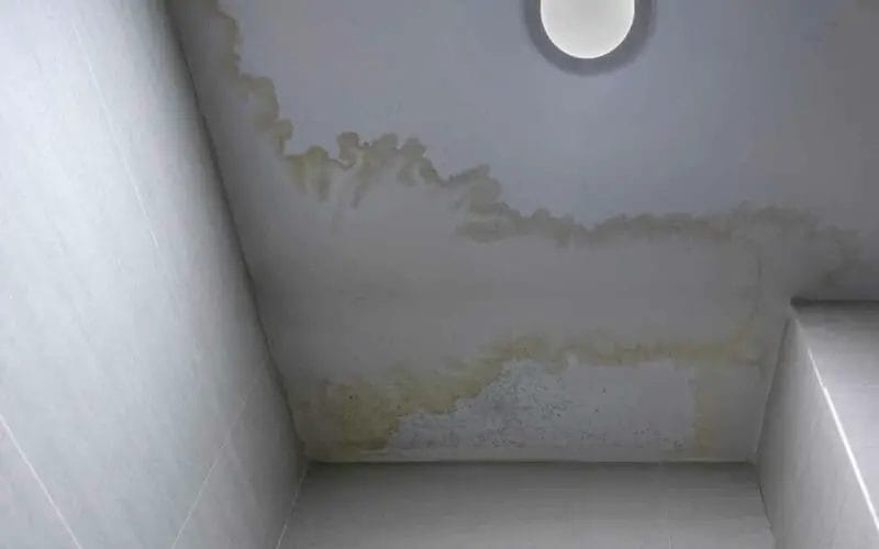 Condensation on the Ceiling: Causes and Solutions