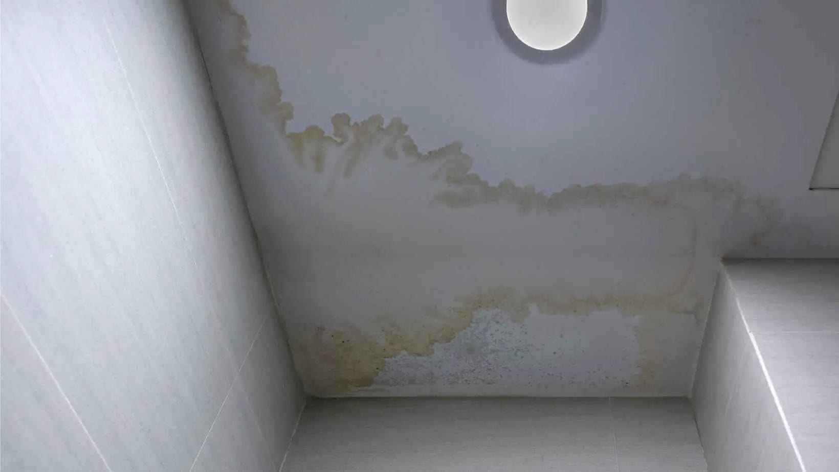 Condensation on the Ceiling